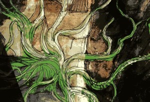 Leaking by David Neilsen Illustrated by Luke Spooner