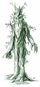 Treebeard  By Jef Murray